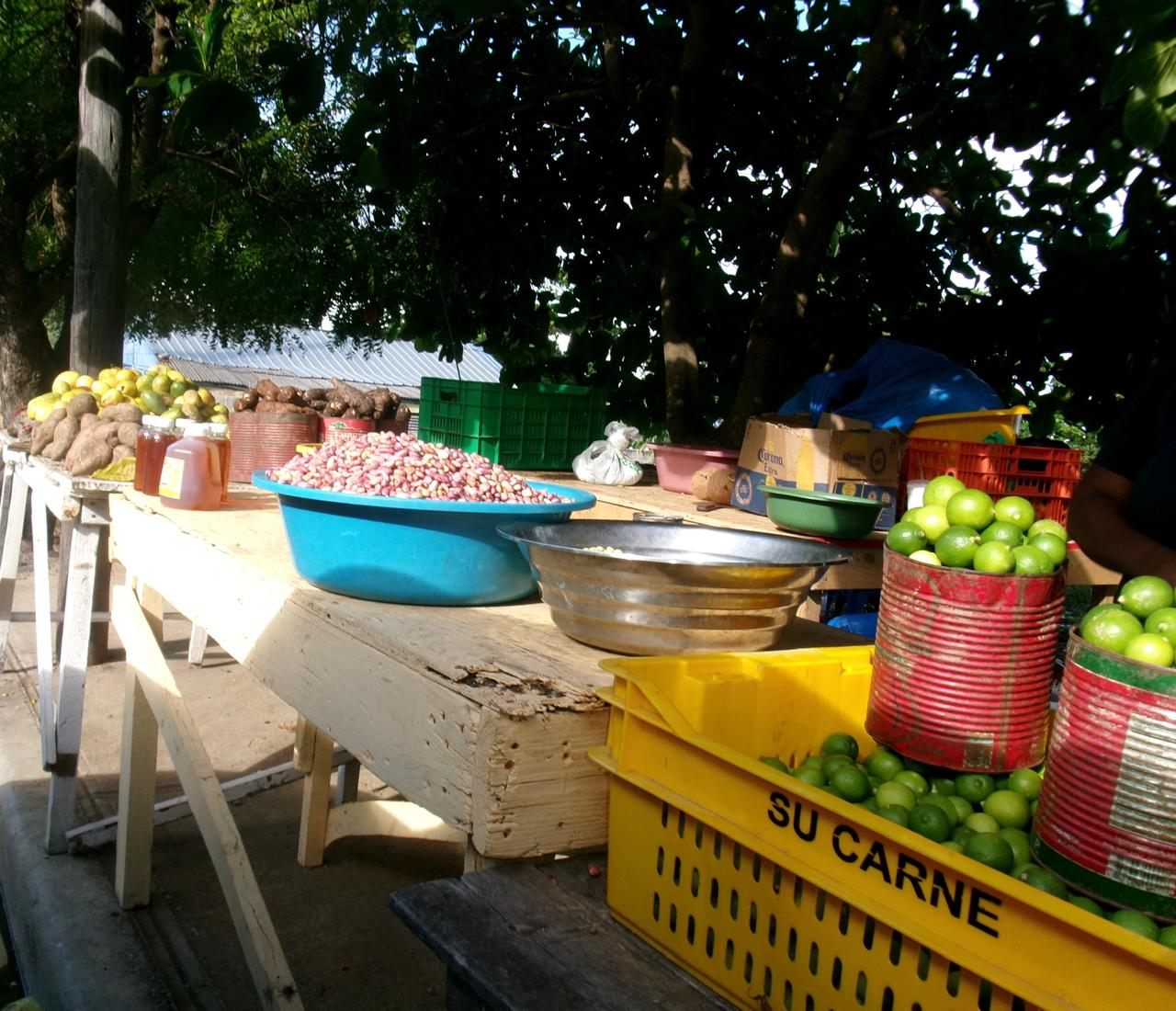 Puesto agrícola en República Dominicana con habichuelas, limones en cajones, jengibre y frutas sobre mesas de madera